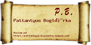 Pattantyus Boglárka névjegykártya